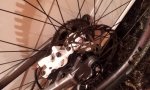 20130915_195248.jpg
