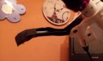 20130915_195350.jpg