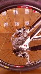 IMAGE00119.jpg