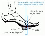 dibujo-pie.jpg