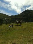 IMG-20130916-WA0042.jpg