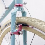 surly.jpg