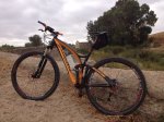 niner-11.jpg