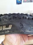 IMG_20130917_134119.jpg