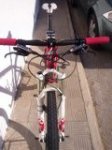 btt4.jpg
