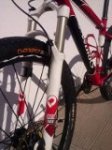 btt10.jpg