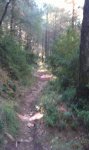 IMG-20130918-WA0002.jpg