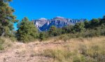 IMG-20130918-WA0004.jpg