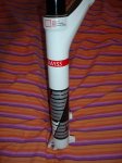 DSC01410.jpg