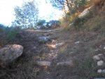 CIMG2191 (Copiar).JPG