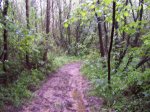 100_0299 (Medium).JPG