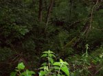 100_0310 (Medium).JPG