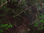100_0309 (Medium).JPG