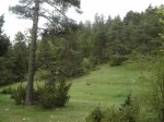 DSC00129.JPG
