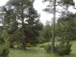 DSC00130.JPG