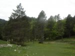DSC00135.JPG