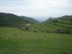 DSC00136.JPG