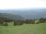 DSC00140.JPG