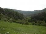 DSC00155.JPG