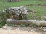 DSC00164.JPG