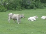 DSC00166.JPG