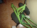 DSC00630.JPG