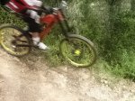 vicent 003.jpg