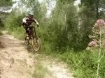 vicent 004.jpg