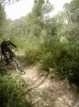 vicent 006.jpg