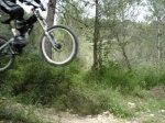 vicent 016.jpg