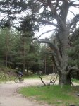DSCN1648.jpg