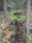 DSCN1647.jpg