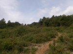 Imagen015.jpg