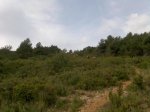Imagen018.jpg
