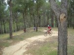 DSC01182_resize.JPG