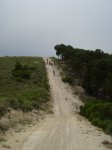 DSC01192_resize.JPG