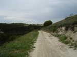 DSC01197_resize.JPG