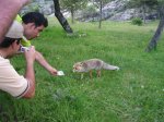 m_IMG_2382.jpg