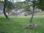 m_IMG_2383.jpg