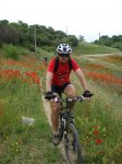 DSC01207_resize.JPG