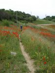 DSC01208_resize.JPG