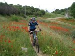 DSC01209_resize.JPG
