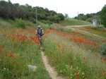 DSC01213_resize.JPG