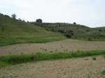 DSC01224_resize.JPG