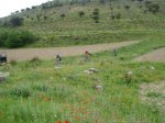 DSC01227_resize.JPG