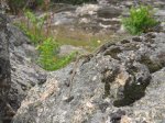 m_IMG_2396.jpg