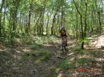 DSC01113 w.jpg