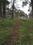 Fotos bike 015_800.jpg
