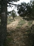Fotos bike 017_800.jpg