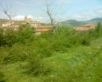 DSC00046.jpg
